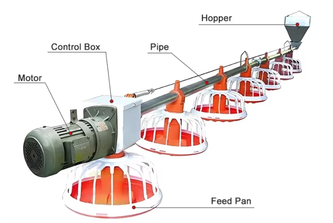 Automated Poultry House Systems for Modern Farms
