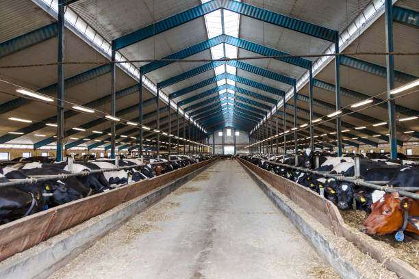 Automated feeding systems and environmental control equipment