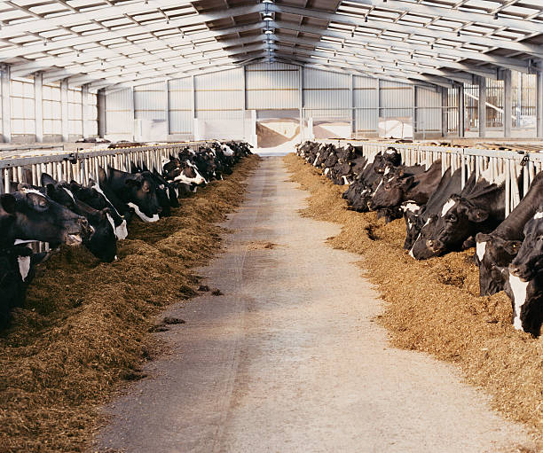 Sustainable features including solar panels and biogas systems