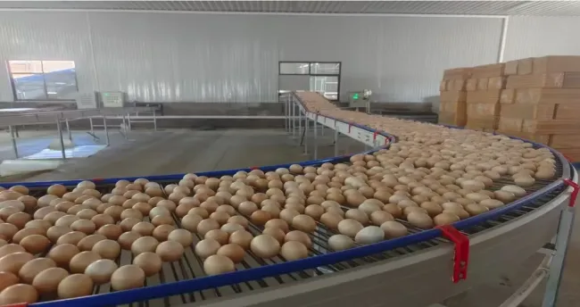 90° large corner for smooth egg transition