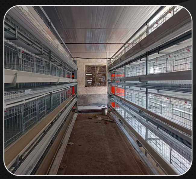 Small tier layer chicken cage