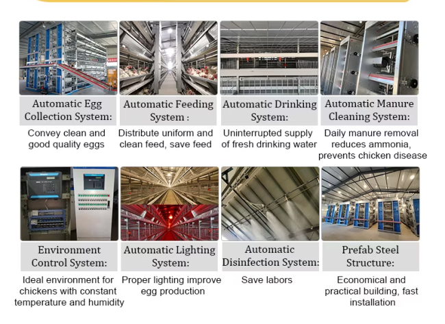 Hightop automatic layer chicken cage system overview