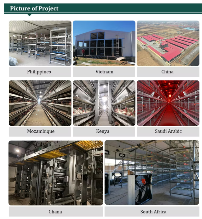 Successful poultry farming case study