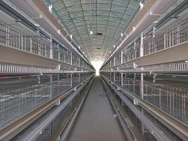 Poultry farming installation example 3