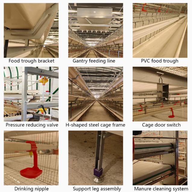 Automatic battery cage poultry farming equipment overview