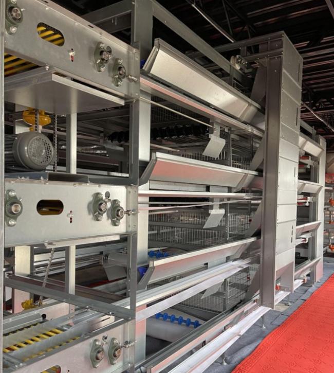 International poultry farming applications