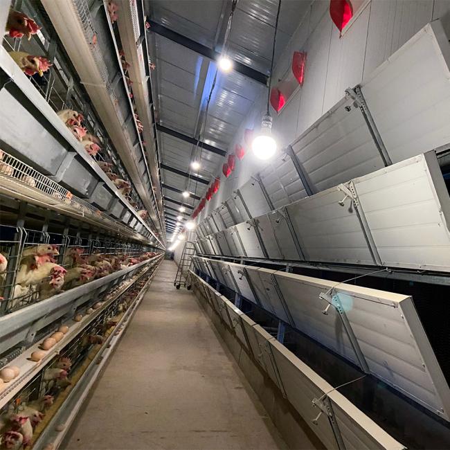 Poultry farm ventilation system