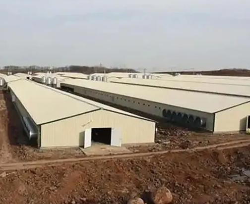 Aerial view of poultry farm complex
