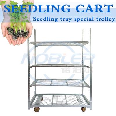 China Standard Hole Tray Rolling Flower Trolley for Greenhouse Agricultural Planting à venda
