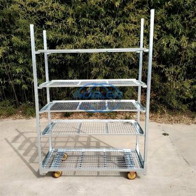 China Flower Shipping Cart Flower Trolley Metal Flower Cart Easy to install for sale