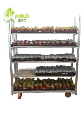 China Dutch Plant And Flower Display Cart Greenhouse Nursery Transport Trolleys for sale