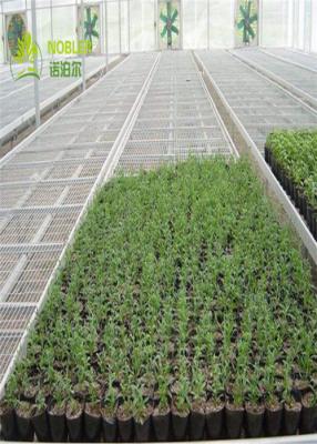 China A estufa hidropônica da plântula das bandejas cresce camas para a sementeira/vegetal das plantas à venda