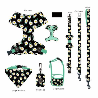 China Velvet Walking Cat Harness Vest for sale