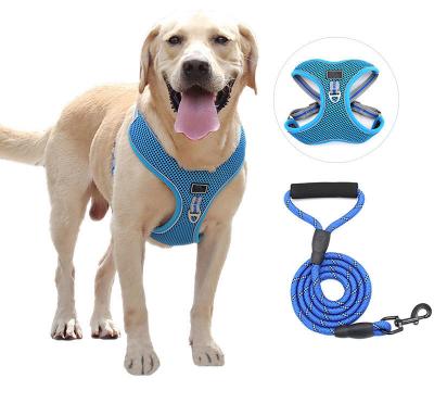 China Polyester Collar Lead Harness Set for sale