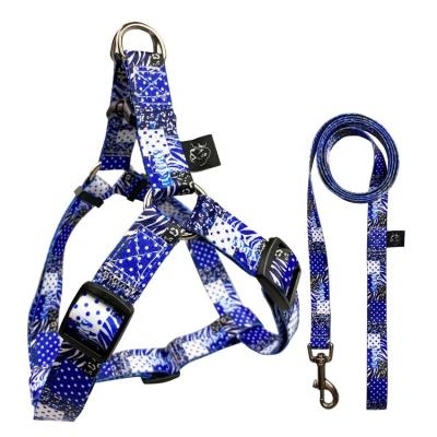China Nylon Fashion Dog Harness Leash Collar Set Custom Pattern Line Style for sale