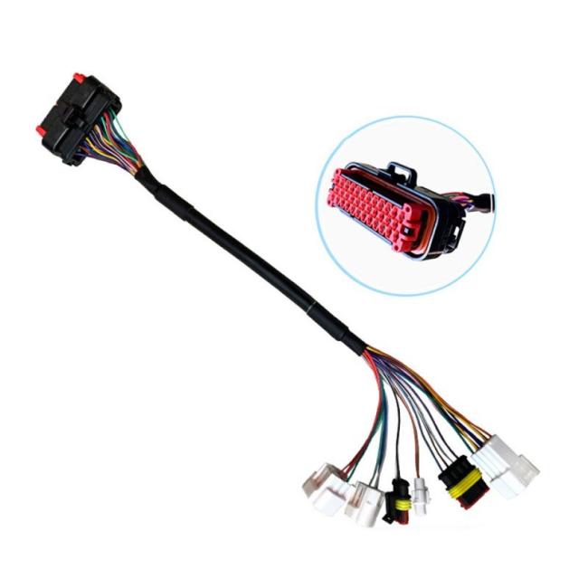 Extension Adapt Harness Female to Male Plugs Customized Wiring Harness Assembly Solutions