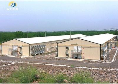 China Industrial Prefab Steel Structure Building , Metal Farm Shed Building for sale