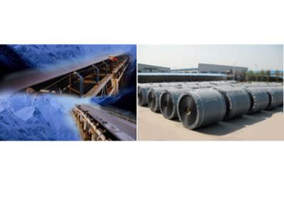 China Cold-resistance Conveyor Belt for sale