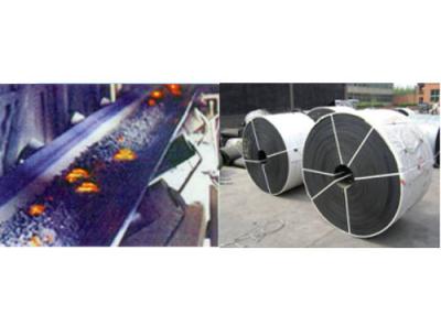 China Common Flame-retardant Conveyor Belt for sale