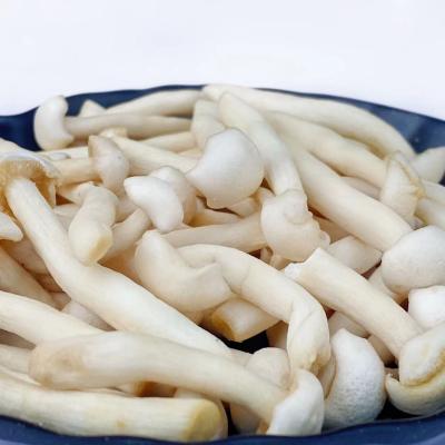 China Heet verkoop de Verse Shimeji-Paddestoelen van Paddestoel Vacuümfried vegetables healthy snacks shimeji Te koop