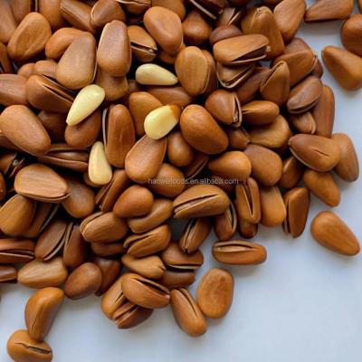 Chine Pignons organiques nutritifs CACHERS d'OU de préparation saine semi molle de casse-croûte à vendre