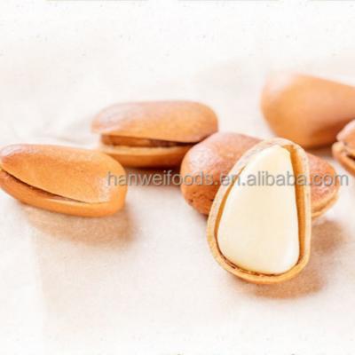 China Nueces asadas secas de Shell Healthy Snack Mix del grano grande rojo marrón del OEM en venta