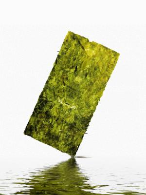 Chine Assaisonnement croquant ouvré de sel de mer de Chips Organic Toasted Nori Seaweed d'algue à vendre