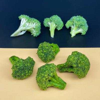 China Crunchy Savory Flavor Vacuum Fried Broccoli Nutrient Rich Snack Elevatin for sale