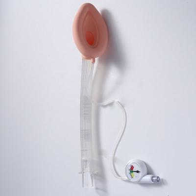 China Tracheal Cannula Laryngeal Tube Airway LMA Endocrinology for sale