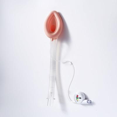 China Customized Laryngeal Airway Masks LMA Anesthesia General for sale