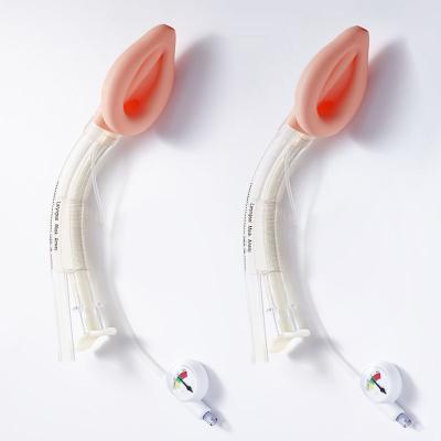 China Anesthesia Dual Lumen Laryngeal Mask Airway For Children And Adults for sale