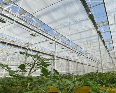 Greenhouse shading system