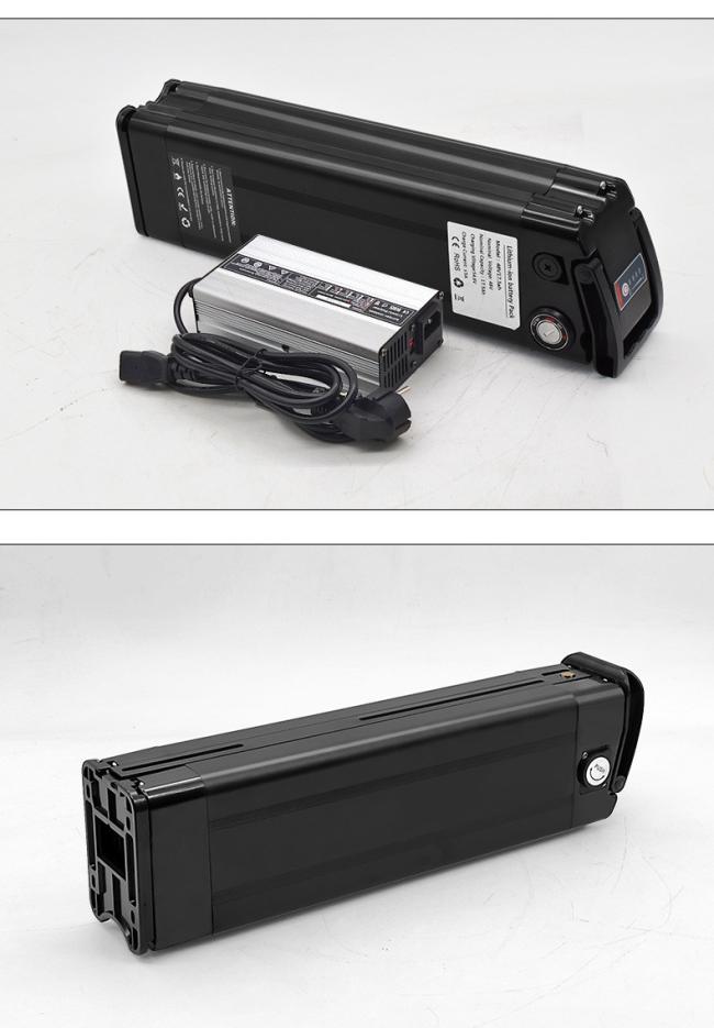 Customized Electric Bike 48volt 20ah Silver Fish E-Bike Lithium Battery for Aldi Prophete Mifa, Samsung, Zhenlong Zl0710, Phylion Xh259-10j, Xh259-13j Battery