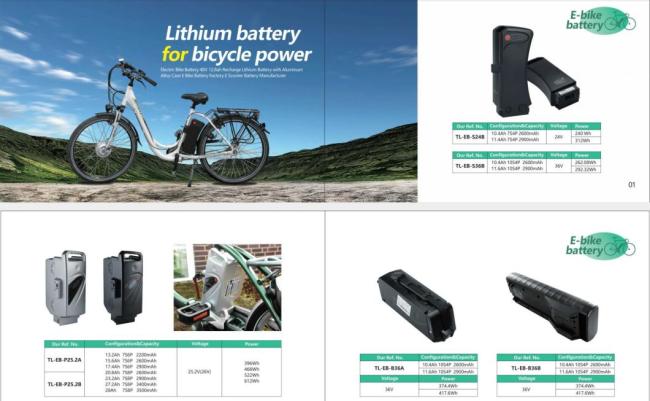 10s6p 10s5p Silver Fish 18650 Lithium Ion Battery USB for E Bike