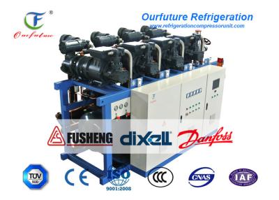China R404a Air Cooled Screw Chiller Tuna Fish -50 Centigrade Cooling for sale