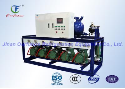中国 ニンニクの低温貯蔵の Bitzer の凝縮の単位、冷蔵室の圧縮機の単位 販売のため