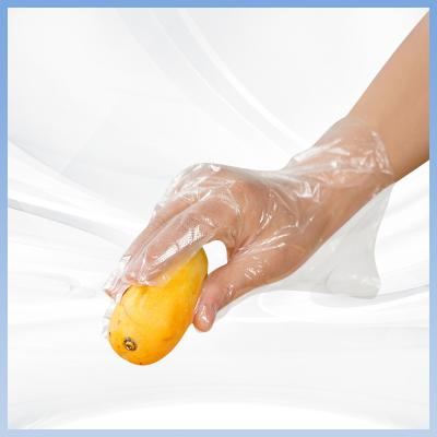 China Food Handling Transparent PE Disposable Gloves Chemical Resistance for sale