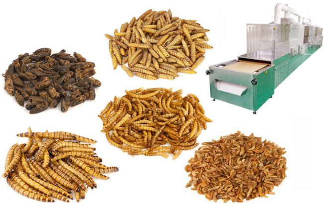 Microwave Larvae Black Soldier Fly Dryer Drying Machine