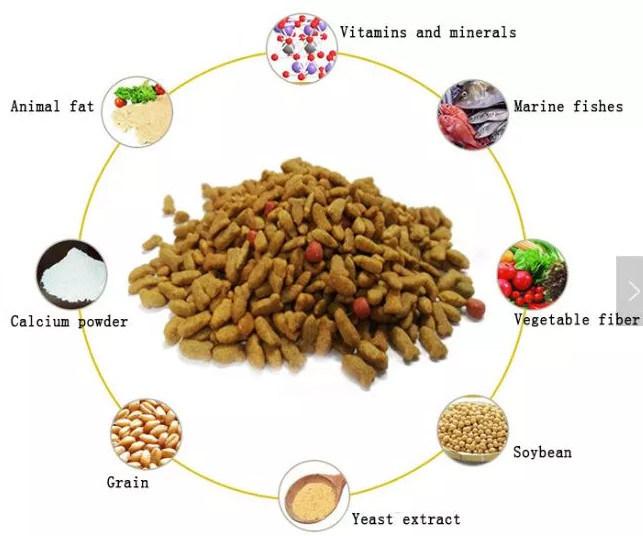 Industrial Twin Screw Extruder Pet Dog Cat Food Making Machine