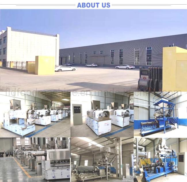 Puffed Snack Extruder Food Extrusion Corn Cheetos Cheese Curls Balls Making Machine
