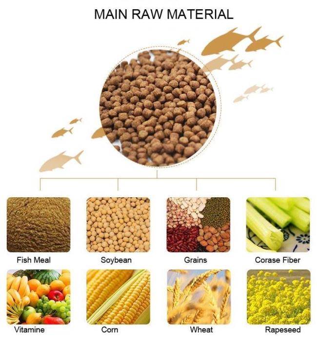 Floating Fish Feed Pellet Making Plant
