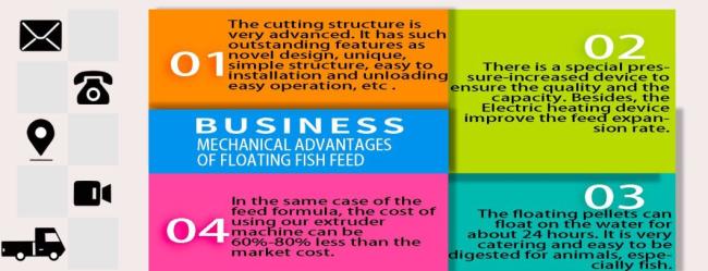 Fully Automatic Drying Floating Fish Feed Machine Fish Feed Extrude Machine Fish Food Pellets Equipment