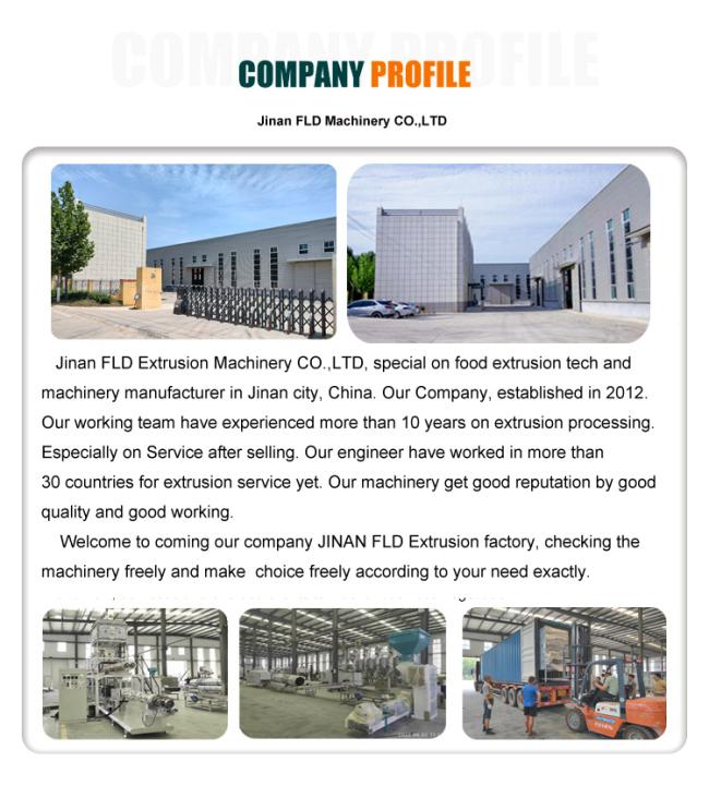 High Productivity Floating Fish Feed Making Machine Sinking Fish Extrusion Machine Production Line
