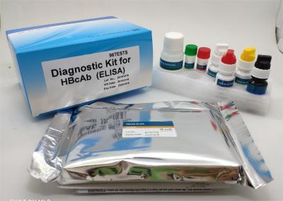 China High Sensitivity Elisa Test Kit Easy To Operate For Hbcab for sale
