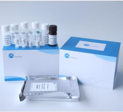 China PLGF Placental Growth Factor Elisa Test Kit for sale