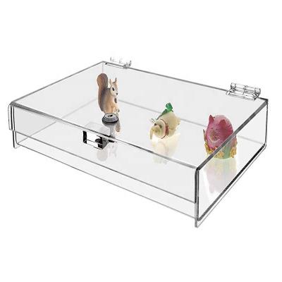 China Large Clear Acrylic Hinged Box With Hinged Lid And Lock Storage 16x8