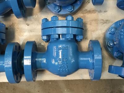 China Food Industry Swing Type NRV Check Valve for sale