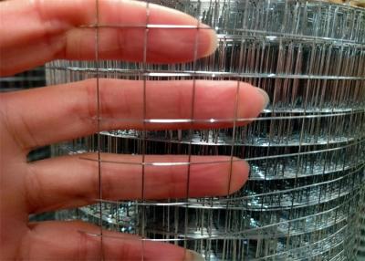 China 0.5in Galvanized Welded Wire Mesh Rolls 30m Galvanised Wire Mesh Fencing for sale