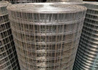 China 1x1in 36inX 100ft Welded Wire Mesh Rolls for sale