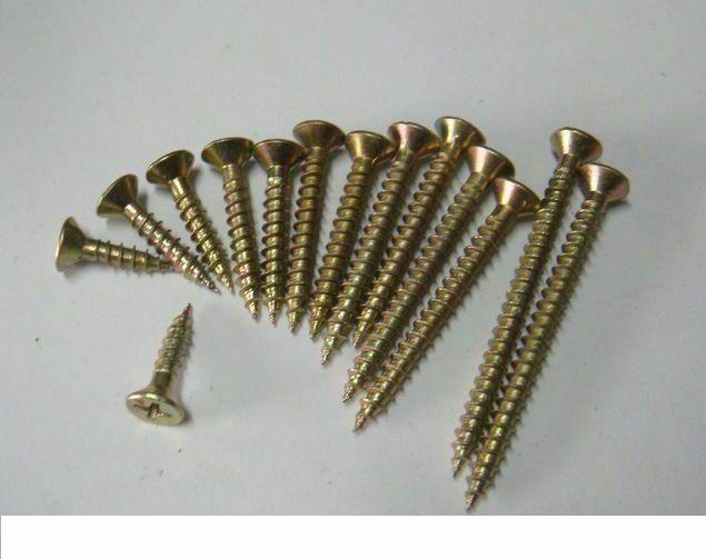 Drywall Screw detailed shot